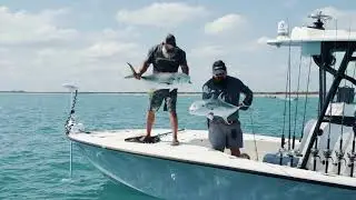 YoZuri SURFACE CRUISER