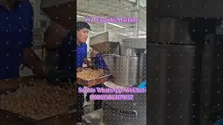 TVP Crumbs #Machine Soya Chunks Nugget Textured Soya Protein Plant Meat Substitutes #extruder #tvp