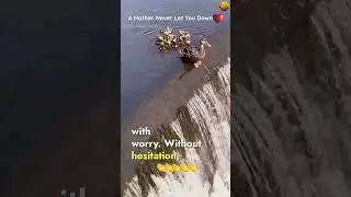 Mother duck saves his baby from getting lost #duck #wildlife #animals