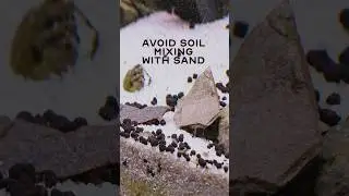 How to avoid Soil mixing with Sand?