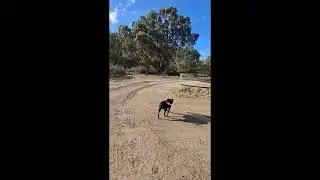A quickie at wongulla sa