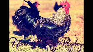 Crazy Playboy ft. Nanua - Le Coq Aux Choux ( Reggae Parodie ) XD