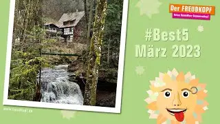 Vom Waldbaden in die sch&ouml;nsten Fachwerkst&auml;dte im Remstal