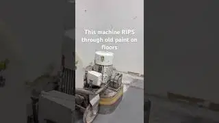 Remove old paint ➡️ Install Epoxy Floor #flooprep #construction #epoxyfloors
