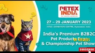 WCF Cat show Hyderabad 2023|Petex india cat championship|Hitex dec 23to24| Hyderabad Fusion