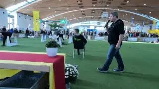 S&uuml;dwestdeutscher Hundesportverband (swhv) auf TiERisch gut 2023 Messe Karlsruhe