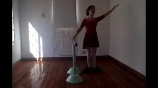 Barra y centro de ballet clásico adultos con experiencia