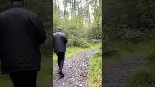 #foresthikes