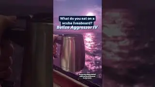 Dining on a scuba diving 🤿liveaboard Trip on the Belize Aggressor IV (hosted) #scubadiving #scuba