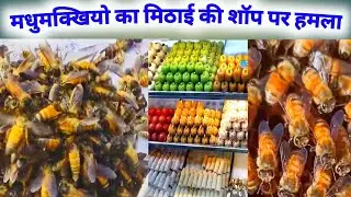 मधुमक्खियो का मिठाई की शॉप पर हमला 🐝 Honey Bee Life ,Honey Bee Sweet Shop Attack