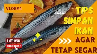CARA MENYIMPAN IKAN AGAR TETAP SEGAR #ikan #video #MENGHILANGKANBAUIKAN#KULKAS#IKANSEGAR#IKANLAUT