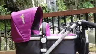 Paradise Bliss Pram - All you need want & love