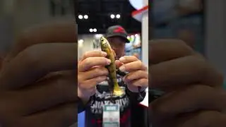 ICAST 2025: New Z-Man SWAG LT Swimbaits!