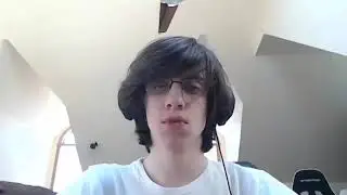 Npesta Terraria pog