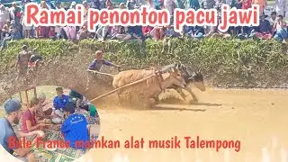 Ramai penonton pacu jawi nagari gurun,bule France mainkan alat musik Talempong ❗❗