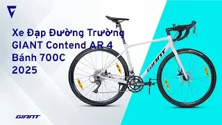 Xe Đạp Đường Trường GIANT Contend AR 4 - Phanh Đĩa, Bánh 700C - 2025 | Giant International Vietnam