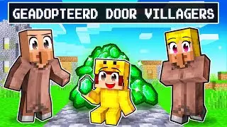 Van 0 Naar 100 JAAR Als VILLAGER In Minecraft..