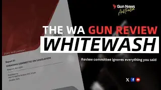 GUN LAW REVIEW: THE GOVERNMENT'S FEEL FOR &ldquo;THE VIBE&rdquo;