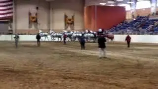 15 Pyramid Hitch of Percheron Draft Horses by Dave Rohrbach of Bee Tree Trail