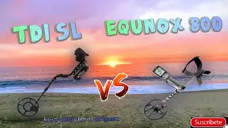 METAL DETECTOR  WITHES TDI SL vs EQUINOX 800