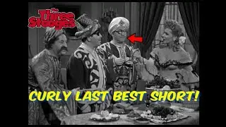 (S5E9) Эта последняя короткая стрижка с кудрями была ЛУЧШЕЙ из всех, что он когда-либо показывал!