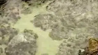 Praia da Caotinha - pr&oacute;ximo a Benguela - Angola