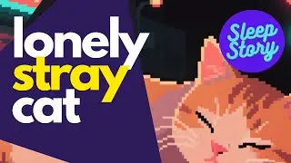 Lonely Stray Cat