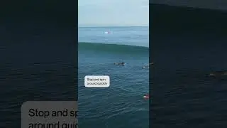 Tips to read and position yourself for a wave