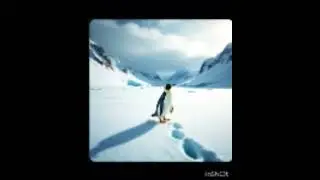 silent walk across the ice mountain where even tears freeze before they falls 🐧 😭 🌨️❄️🌨️❄️