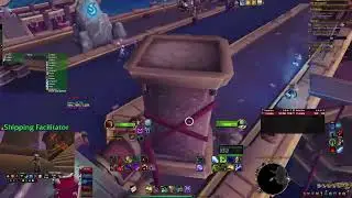 СТАРТУЕМ WoW DRAGONFLIGHT| Twich