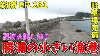EP.281【千葉外房釣り場視察】（初）勝浦の豊浜(新官)漁港を視察＆試し釣り