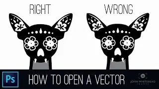 How to open a Vector in Adobe Photoshop