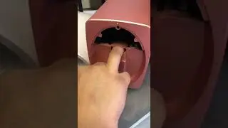 O2nail printer Bad bunny