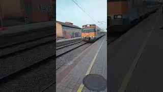 A lleida de mollerusa