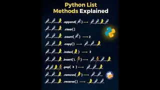 What are Python Lists | Examples