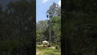 Area 83 Giant swing @2022
