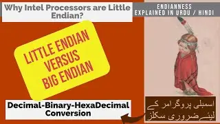 Endianness | Little Endian vs Big Endian & Data Presentation | Binary Decimal Hexadecimal conversion