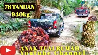 CARA LOADING BUAH SAWIT HANTAR BUAH SAWIT PERGI KE RAMP