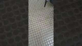 Removal of chewing gum with dry ice cleaning