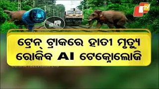 AI Technology to Prevent Elephant Deaths on Railway Tracks