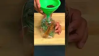 C&Oacute;MO HACER CRECER TU CABELLO R&Aacute;PIDO Y SANO CON ESTOS INGREDIENTES NATURALES.