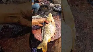 Amazing Carp Fish Cutting Skills 😱#viralvideo #viral #shorts