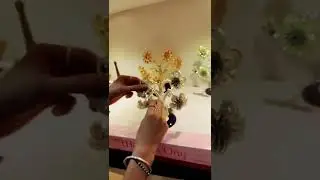 Evil Eye Tree