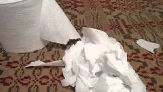 DIY: Nesting Material