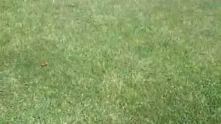 VID-20100624-00000