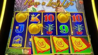 BIG BETS on DRAGON LINK SLOTS! COME ON BIG MONEY, LAND IT!!!