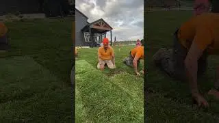 Советы и рекомендации по укладке дерна / Самостоятельная укладка дерна
