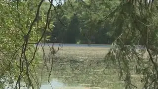 Body found in Lady Bird Lake, fifth in 6 months | FOX 7 Austin