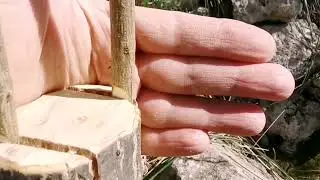 Innesti a spacchi laterali di un melograno.