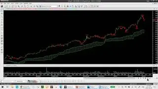 Vince Vora | TradingWins